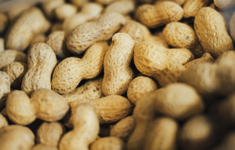 Can I Eat Peanuts While Fasting