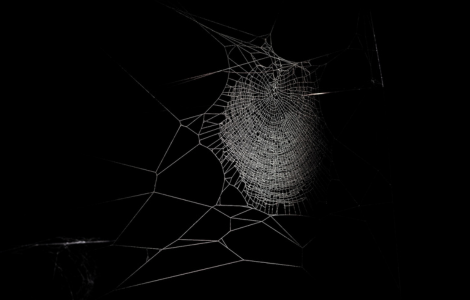 Frequent Webs in Your Walk