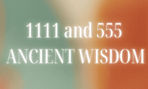 1111 and 555 Meaning