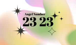 23 23 Meaning Twin Flame