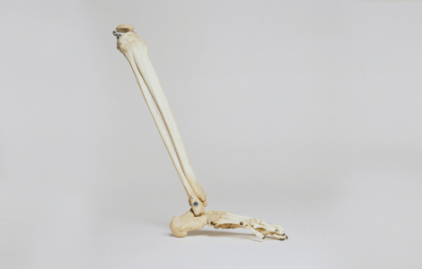 Spiritual Meaning Of Bone Marrow [UNVEILED]