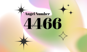 4466 angel number