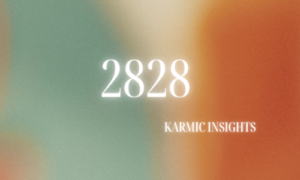 2828 Angel Number Twin Flame [KARMIC INSIGHTS]