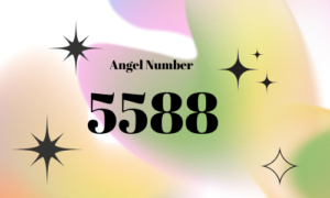 5588 Angel Number Twin Flame Information [EXPERT] 2