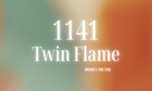 Angel Number 1141 Twin Flame