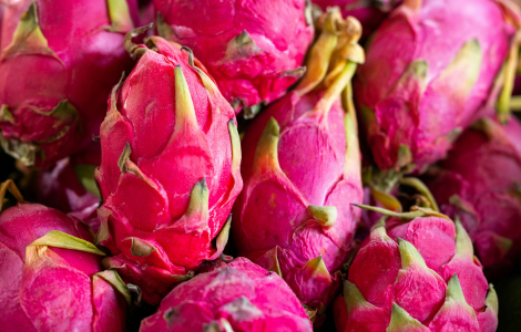 dragon fruit spiritual meaning