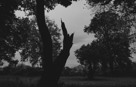 tree struck by lightning spiritual meaning